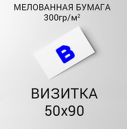 Эконом Визитка